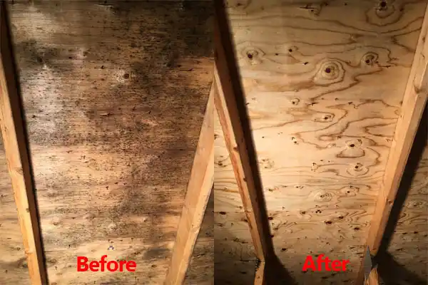 water damage restoration service Carl Junction
